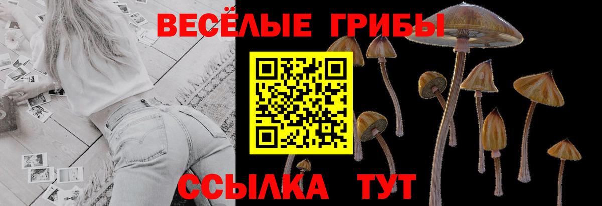 Псилоцибиновые грибы мухоморы Ликино-Дулёво