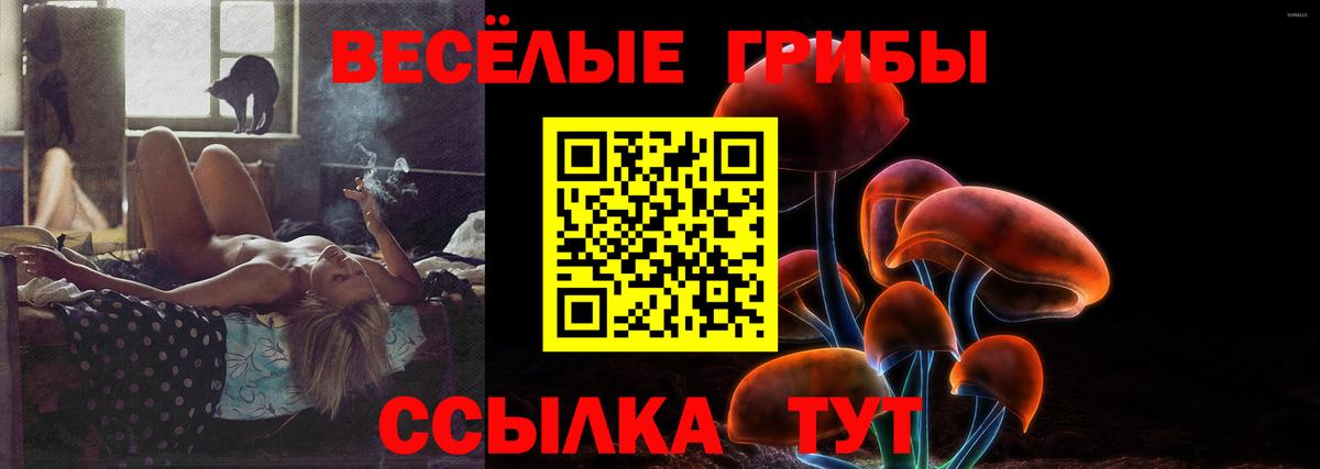 Ликино-Дулёво  Галлюциногенные грибы мухоморы  Вход с VPN 